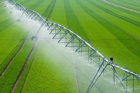 中心支流灌溉系统在绿地喷洒作物